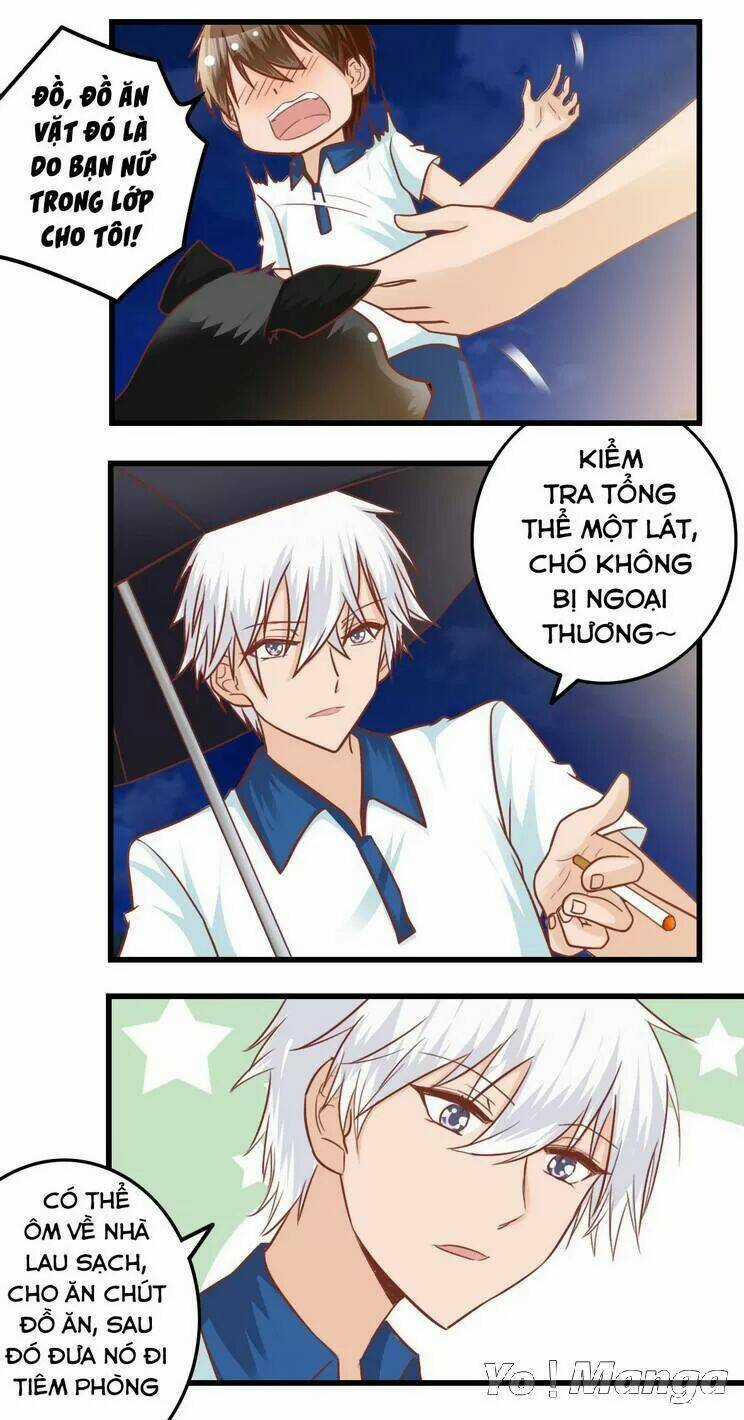 Tôi Là Vợ Tôi Chapter 84 trang 3