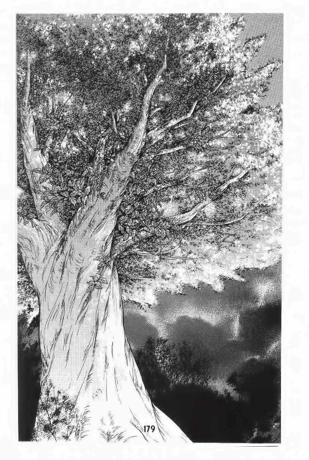 Tôi Là Yamada Zenjiro Chapter 19 trang 104