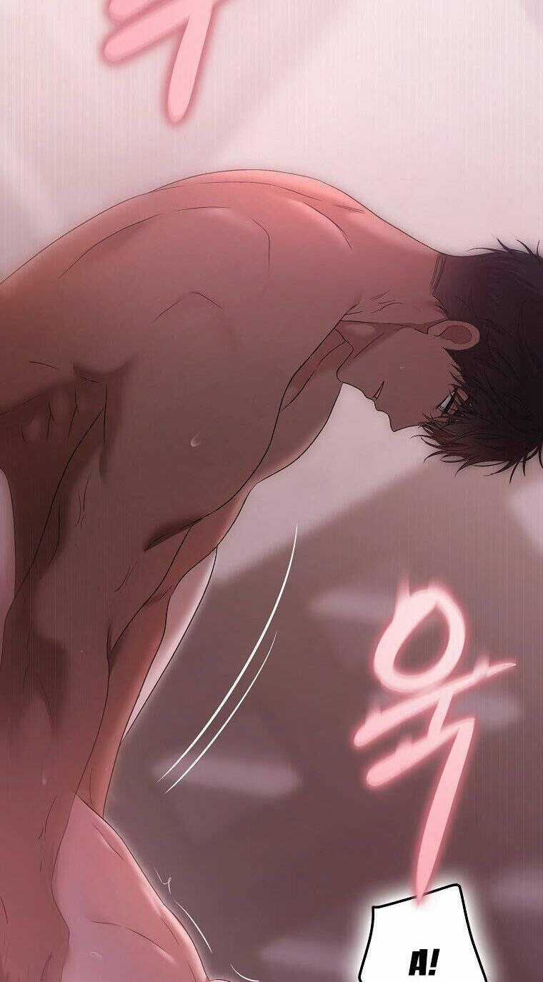 Tôi Lạc Vào Thế Giới Trò Chơi Harem Ngược Chapter 110.1 trang 27