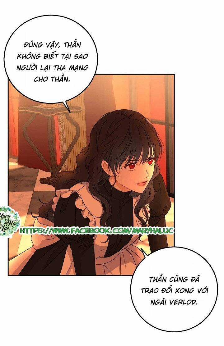 Tôi Lạc Vào Thế Giới Trò Chơi Harem Ngược Chapter 17 trang 37