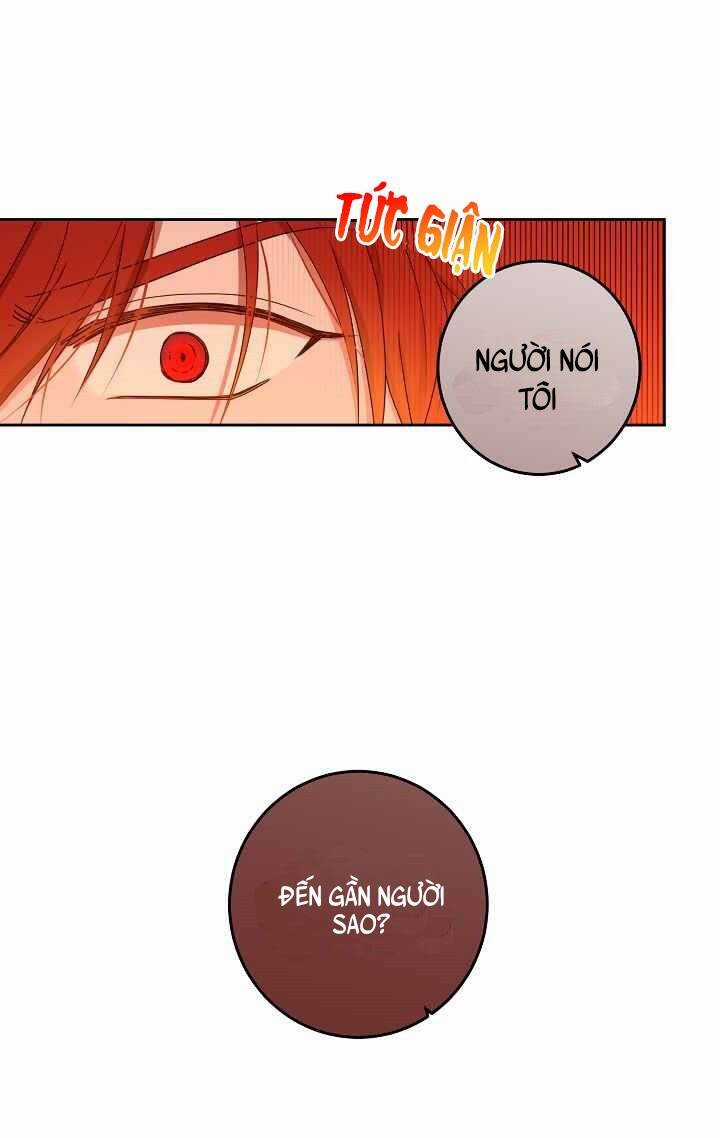 Tôi Lạc Vào Thế Giới Trò Chơi Harem Ngược Chapter 36 trang 22