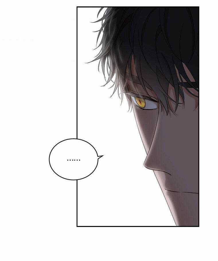 Tôi Lạc Vào Thế Giới Trò Chơi Harem Ngược Chapter 66 trang 39