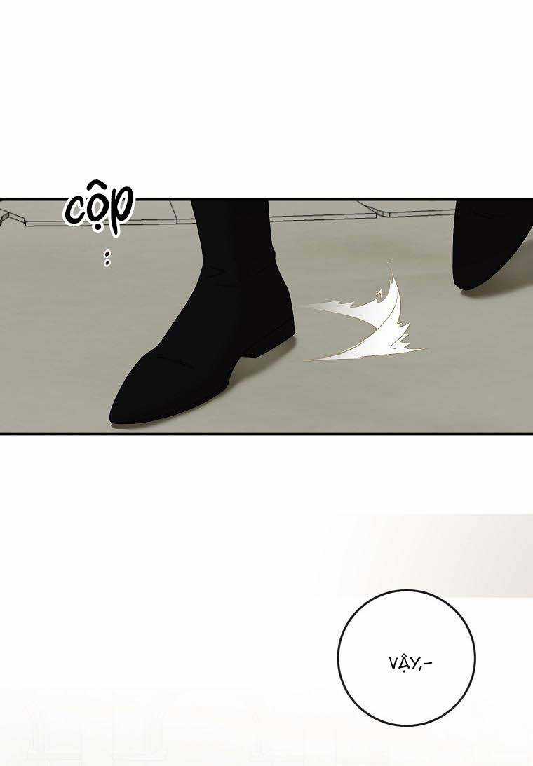 Tôi Lạc Vào Thế Giới Trò Chơi Harem Ngược Chapter 67 trang 12