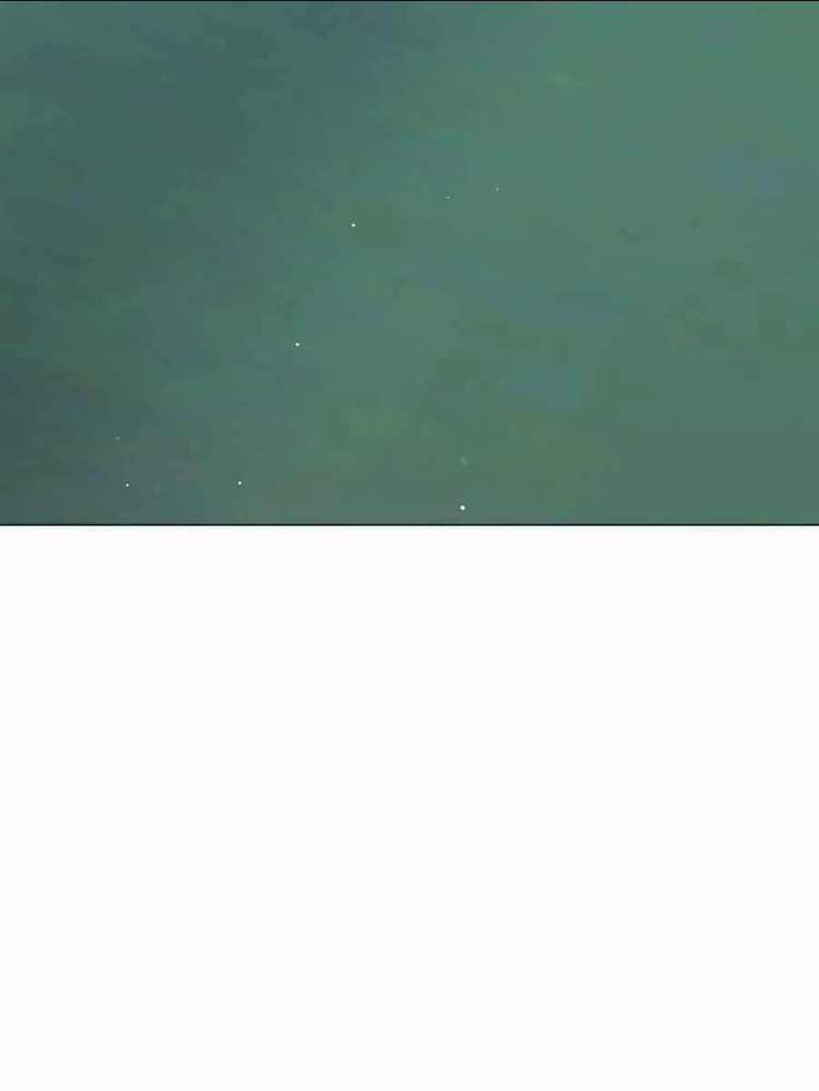 Tôi Làm Vườn Tại Thế Giới Thợ Săn Chapter 18 trang 132