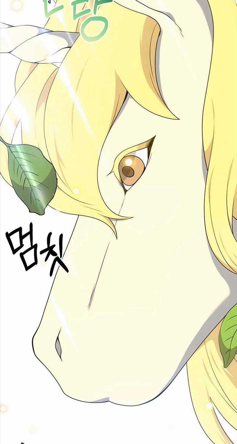 Tôi Làm Vườn Tại Thế Giới Thợ Săn Chapter 40 trang 31