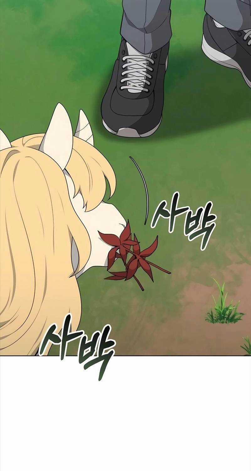 Tôi Làm Vườn Tại Thế Giới Thợ Săn Chapter 40 trang 44