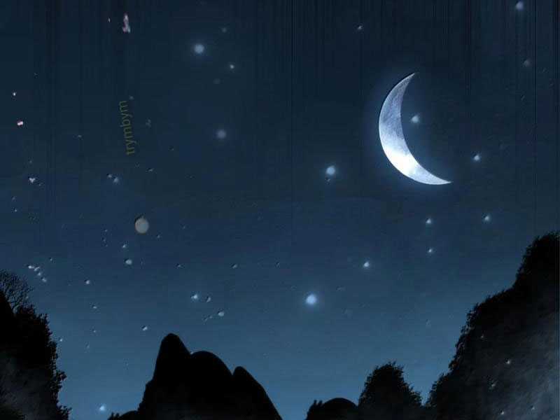 Tôi Livestream Cầu Hôn Nữ Quỷ Vậy Mà Thành Công!? Chapter 91 trang 10