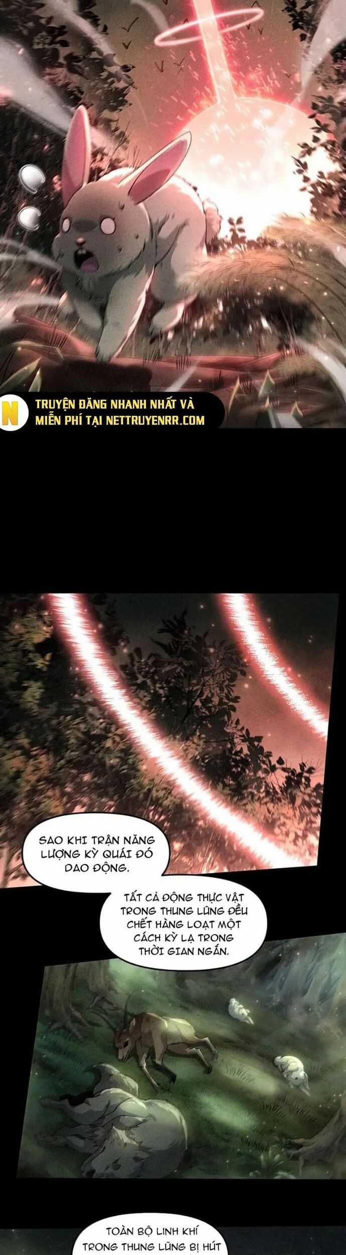 Tôi Livestream Cầu Hôn Nữ Quỷ Vậy Mà Thành Công!? Chapter 96 trang 17