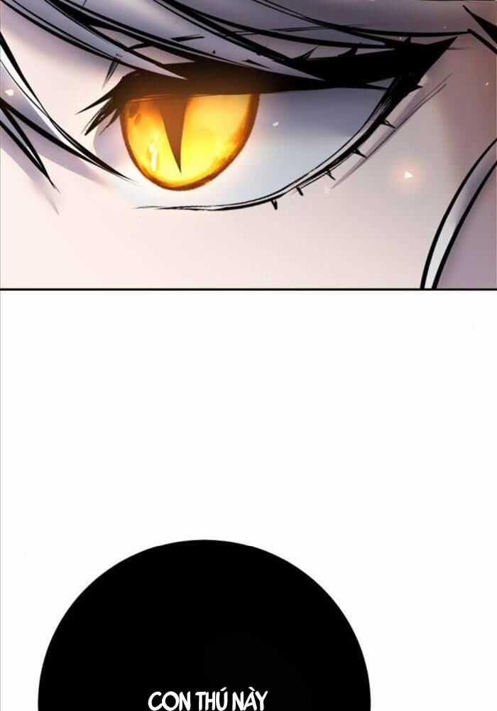 Tôi Mạnh Hơn Anh Hùng Chapter 68 trang 63