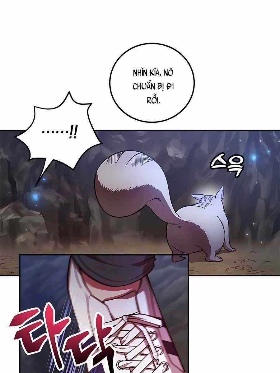 Tôi May Mắn Triệu Hồi Được Tinh Linh Hộ Vệ Hạng 10 Chapter 12 trang 4