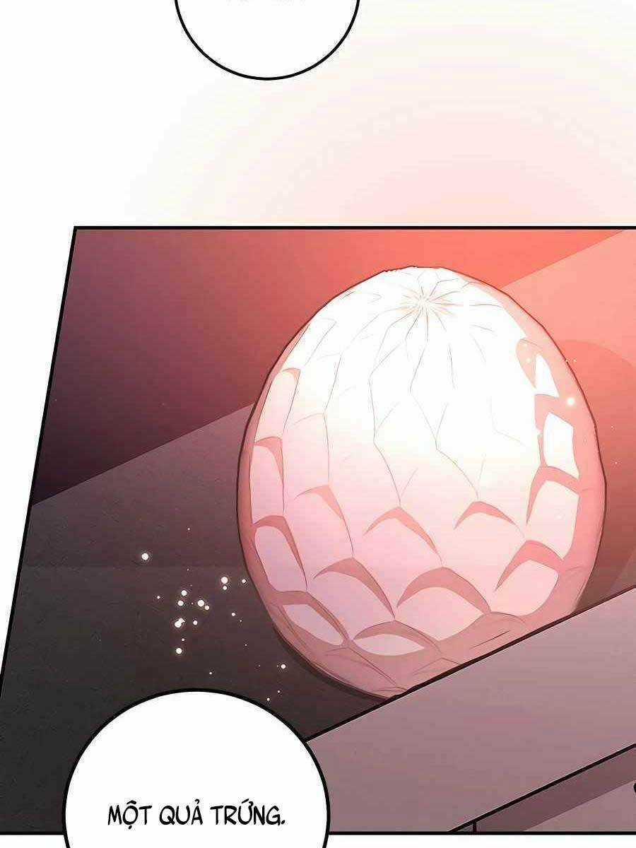 Tôi May Mắn Triệu Hồi Được Tinh Linh Hộ Vệ Hạng 10 Chapter 12 trang 63