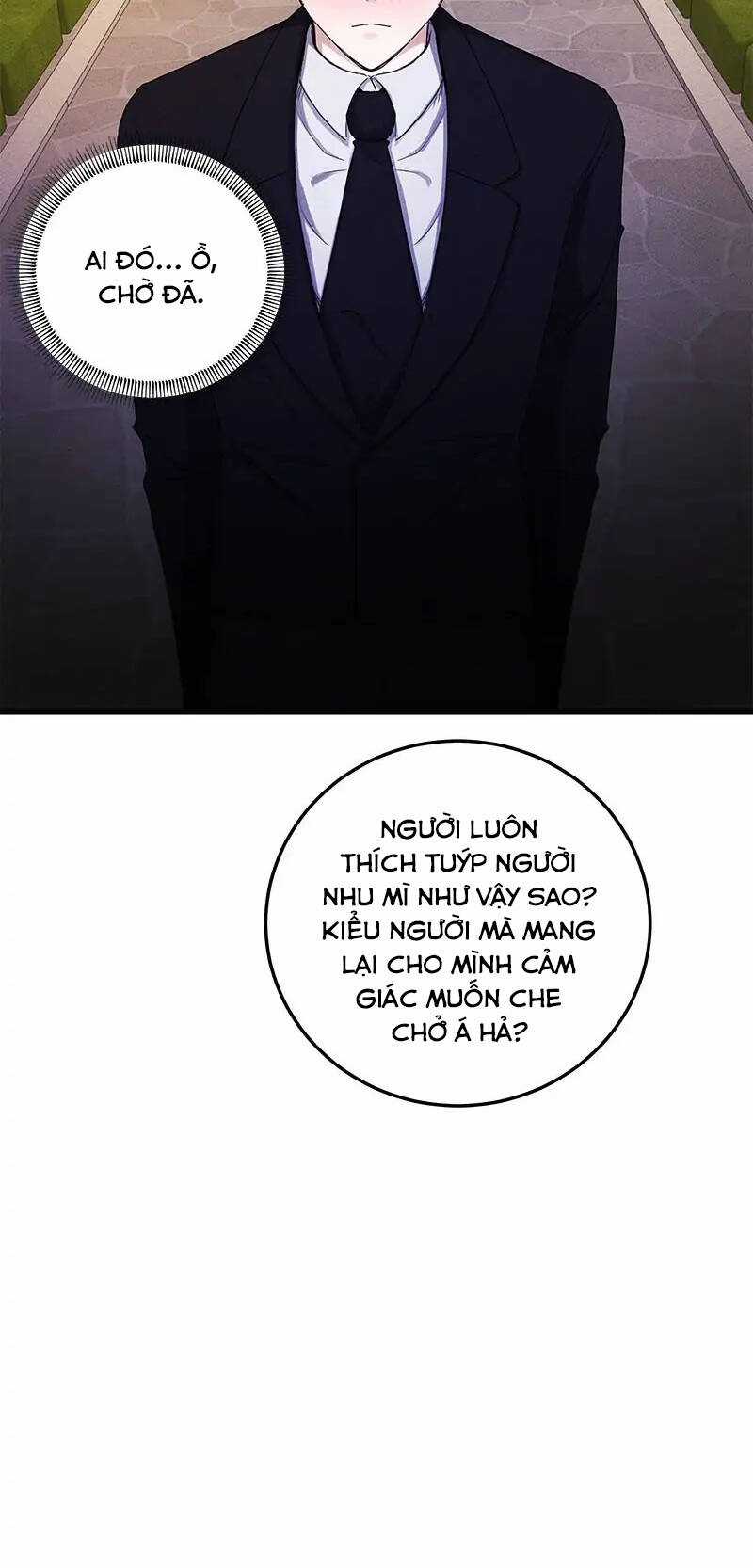 Tôi Muốn Hủy Cuộc Hôn Ước Này Chapter 41 trang 21