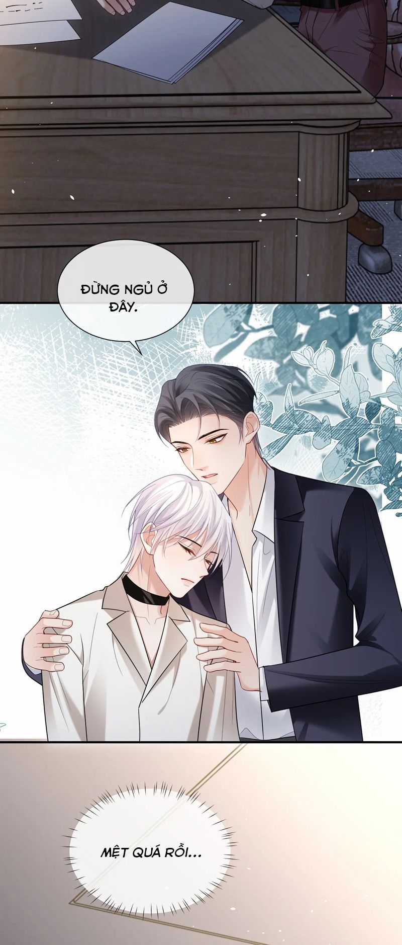 Tôi Muốn Ly Hôn Chapter 117 trang 17