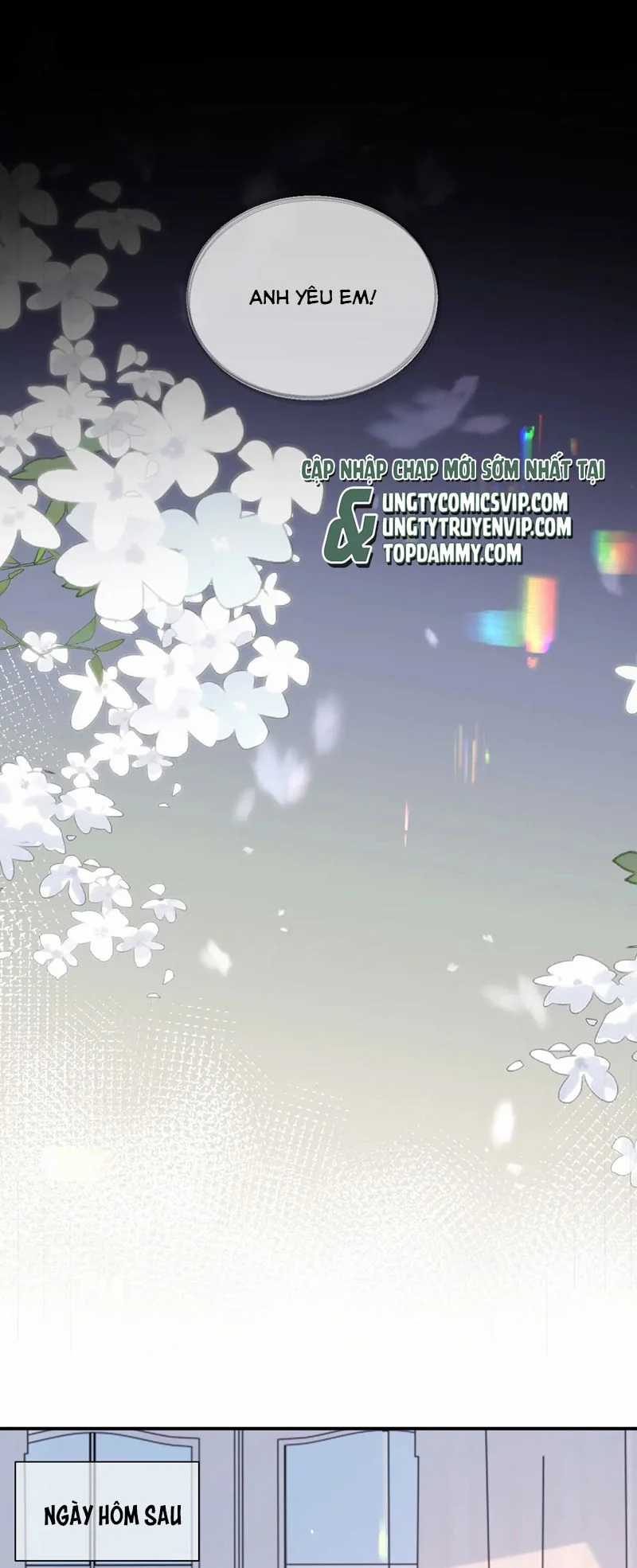 Tôi Muốn Ly Hôn Chapter 120 trang 2