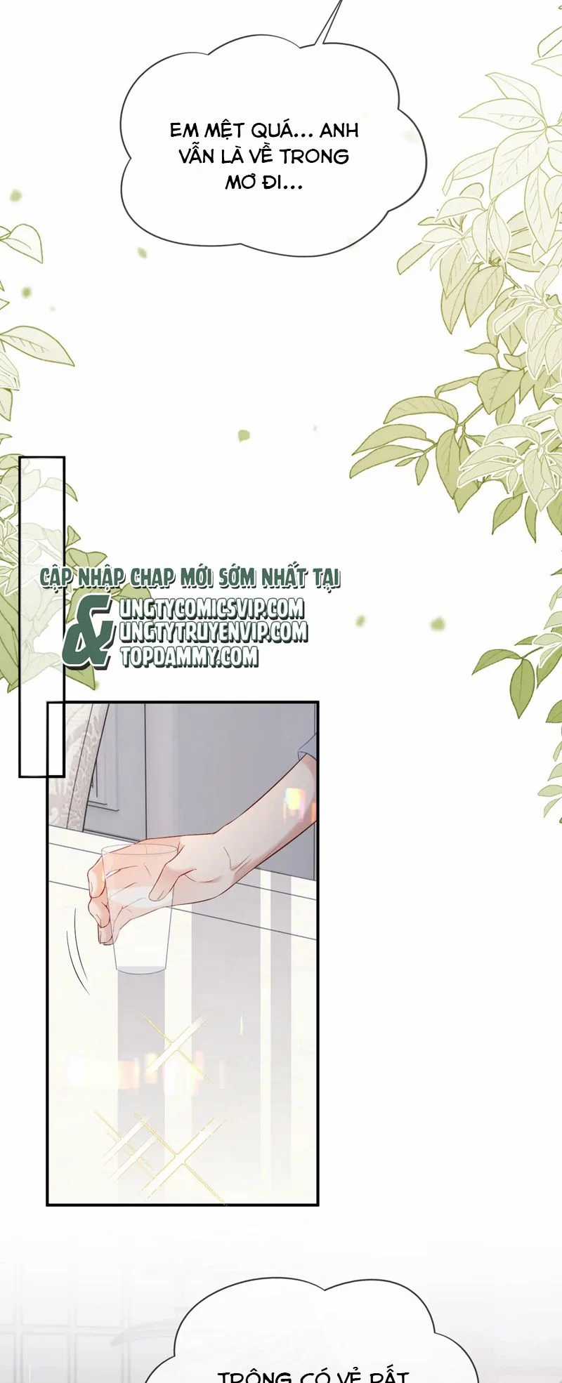 Tôi Muốn Ly Hôn Chapter 120 trang 6