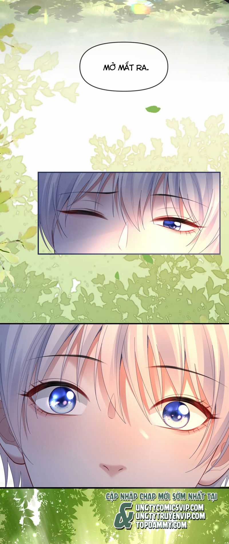 Tôi Muốn Ly Hôn Chapter 135 trang 26