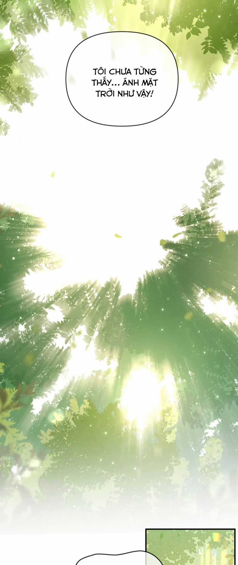 Tôi Muốn Ly Hôn Chapter 135 trang 27