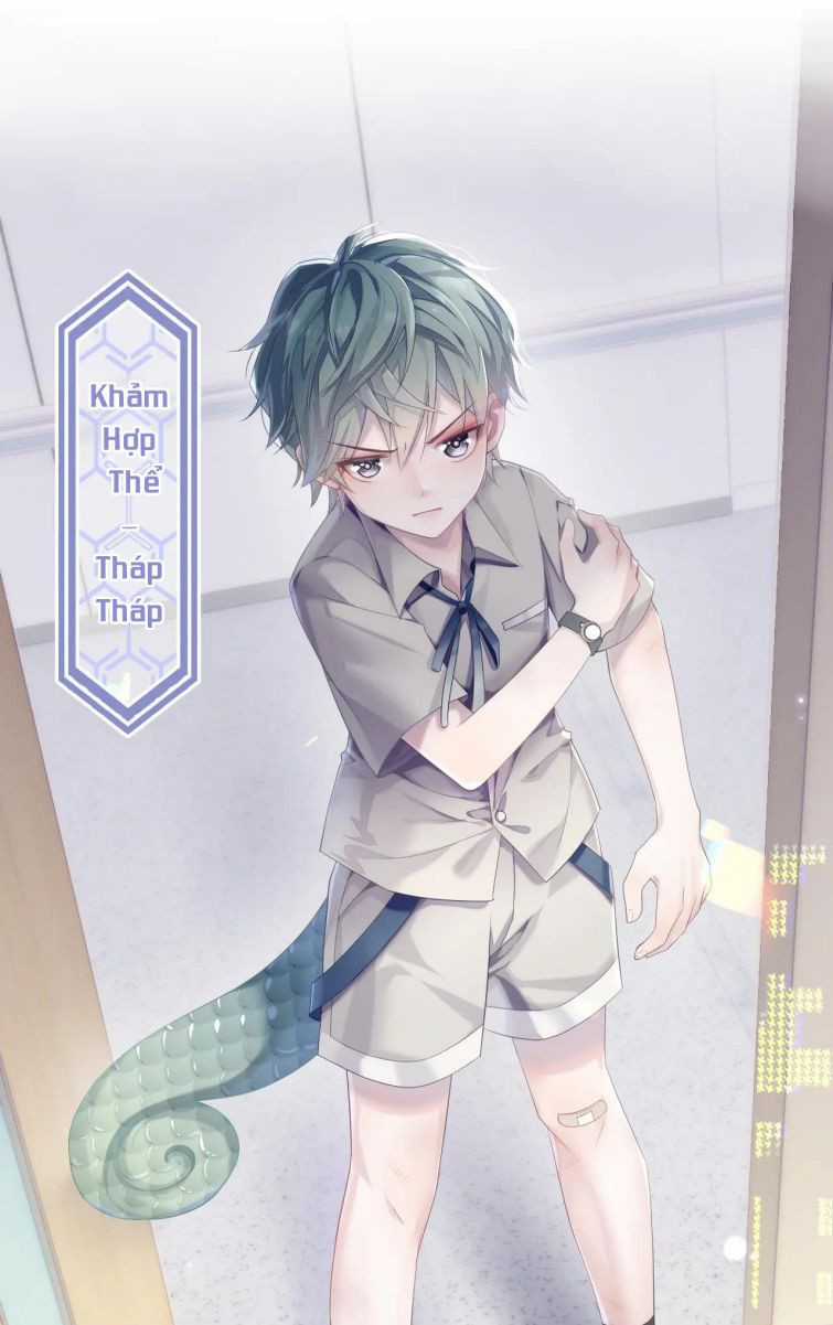 Tôi Muốn Ly Hôn Chapter 33 trang 11