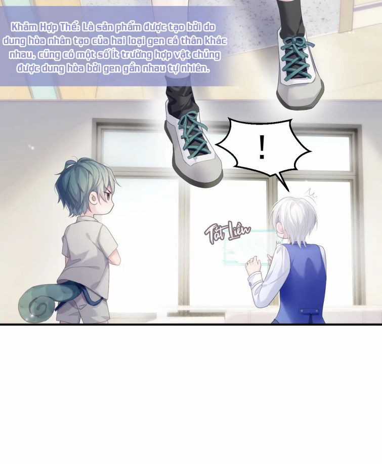 Tôi Muốn Ly Hôn Chapter 33 trang 12