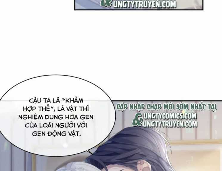 Tôi Muốn Ly Hôn Chapter 36 trang 3