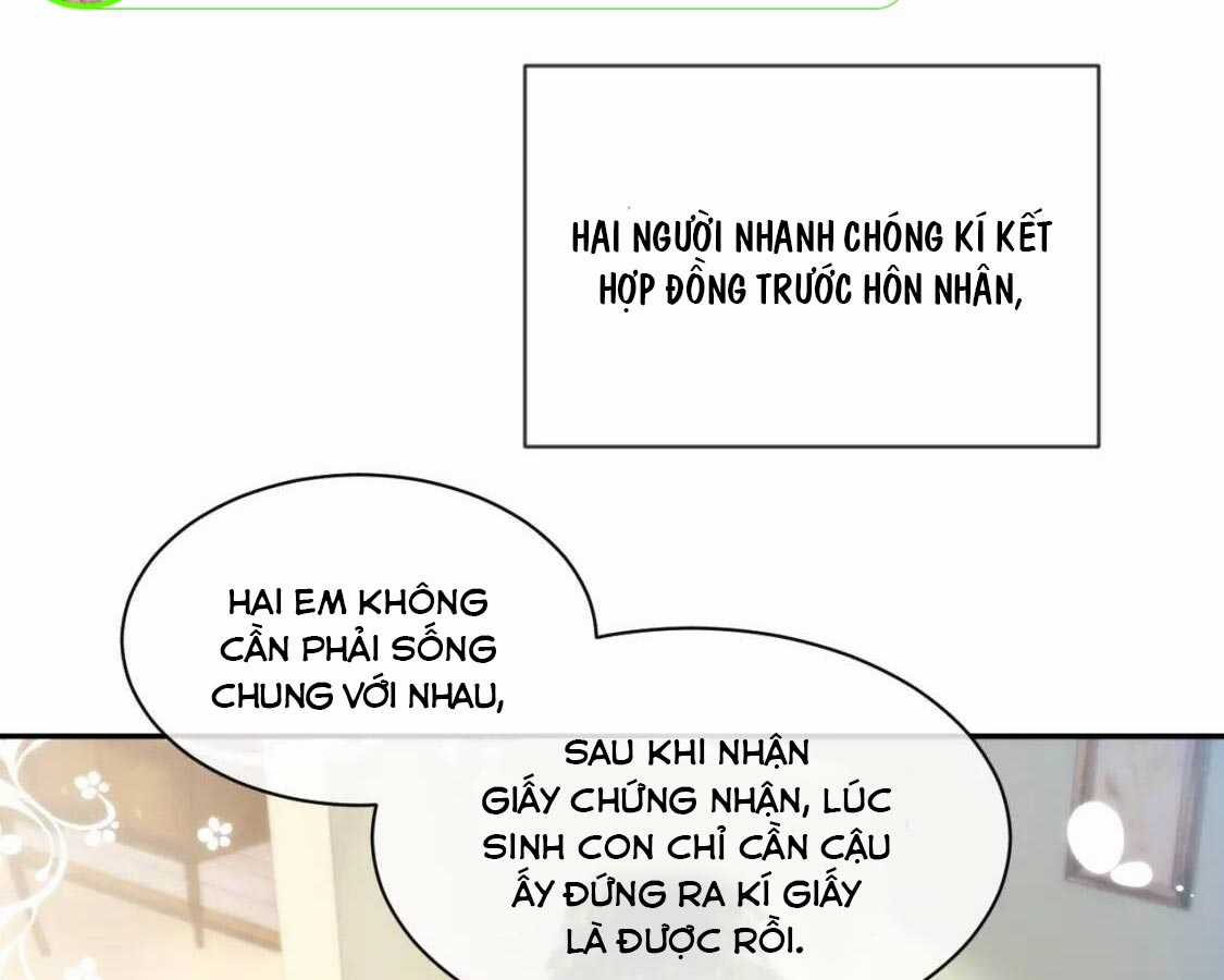 Tôi Muốn Ly Hôn Chapter 45 trang 24
