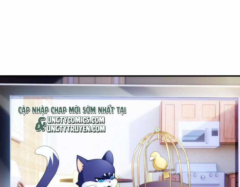 Tôi Muốn Ly Hôn Chapter 56 trang 34