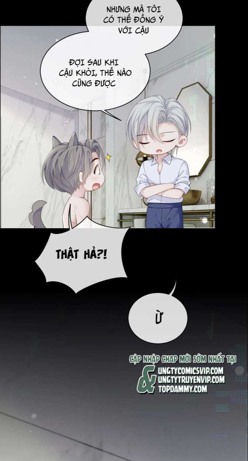 Tôi Muốn Ly Hôn Chapter 84 trang 15