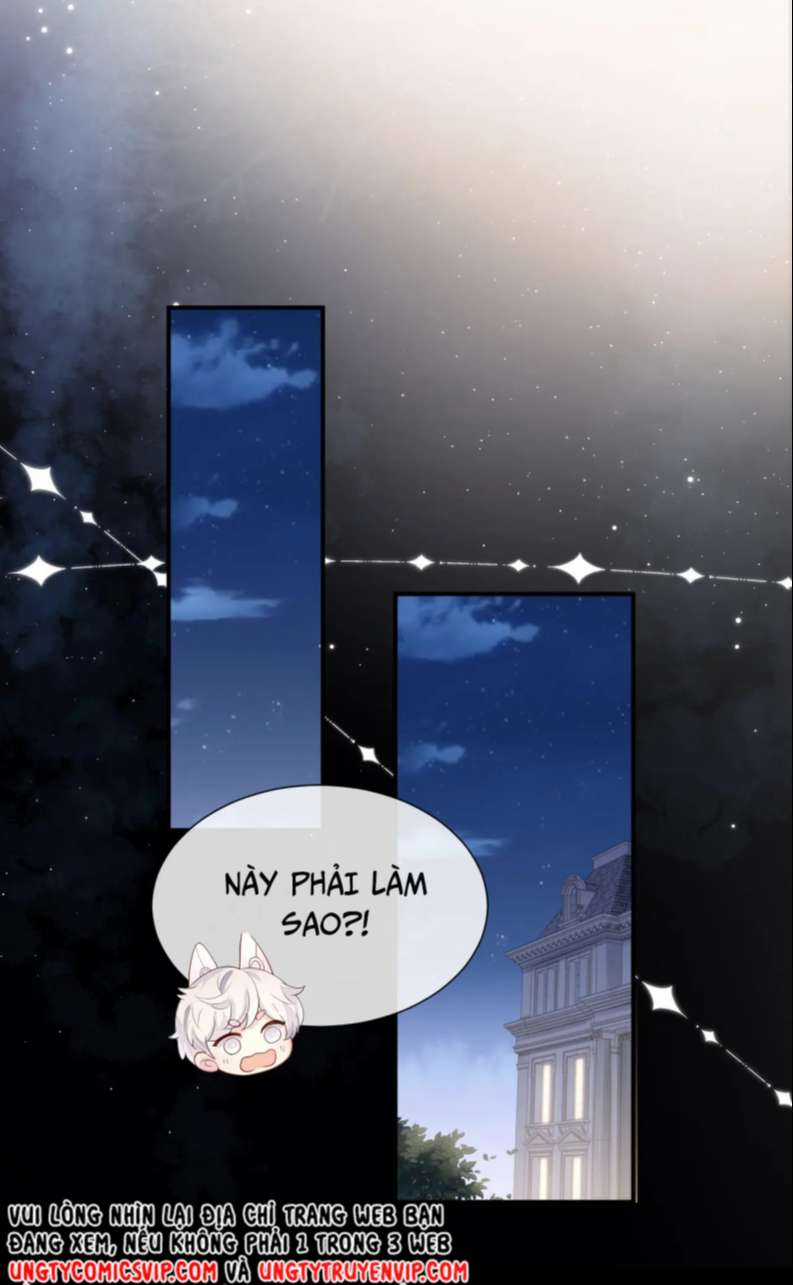 Tôi Muốn Ly Hôn Chapter 85 trang 36