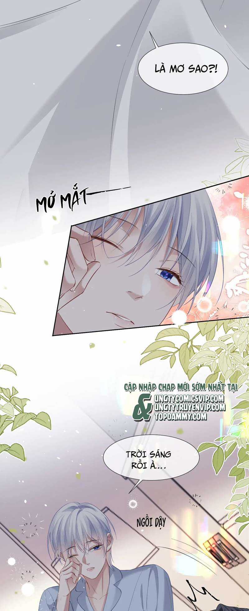Tôi Muốn Ly Hôn Chapter 97 trang 12