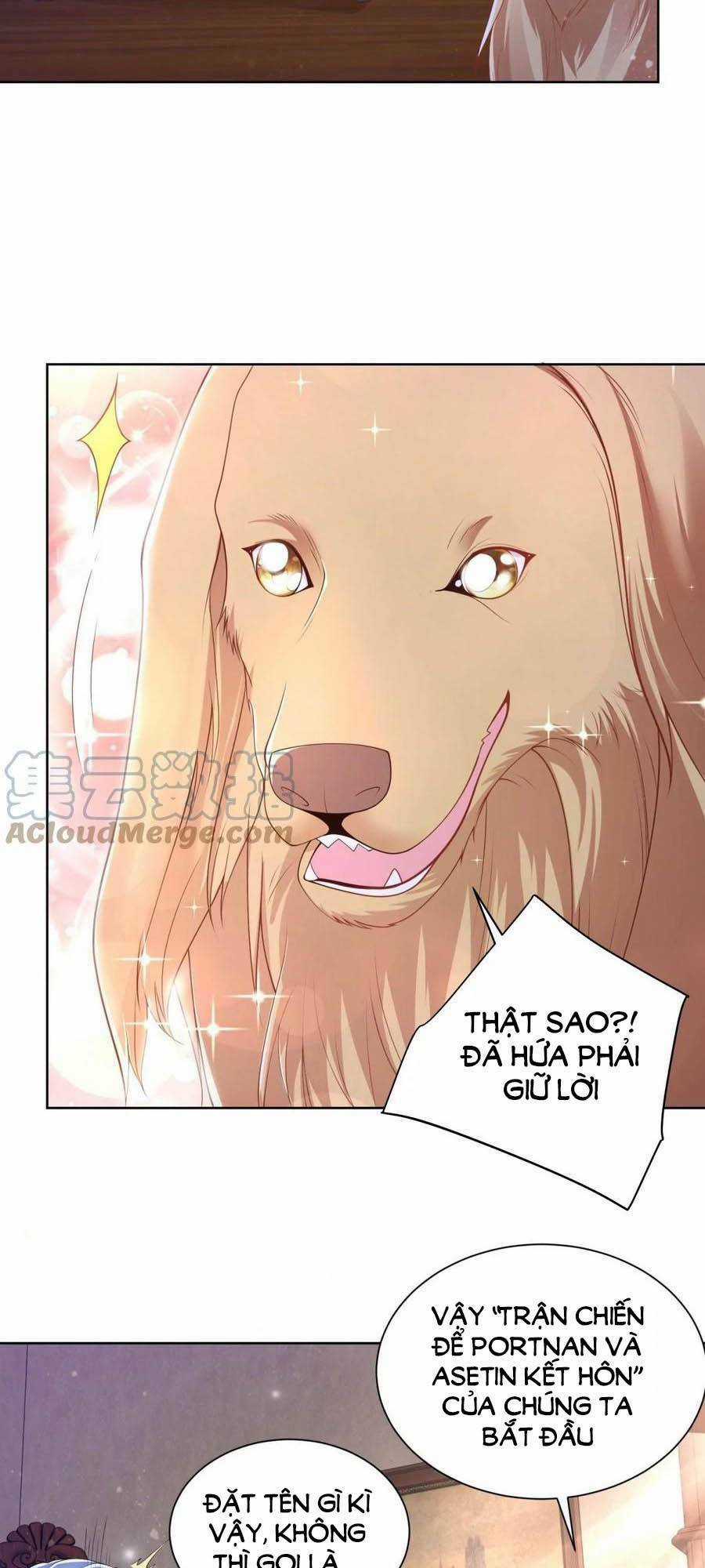 Tôi Muốn Trở Thành Tiểu Thư Công Tước Phế Vật Chapter 153 trang 16