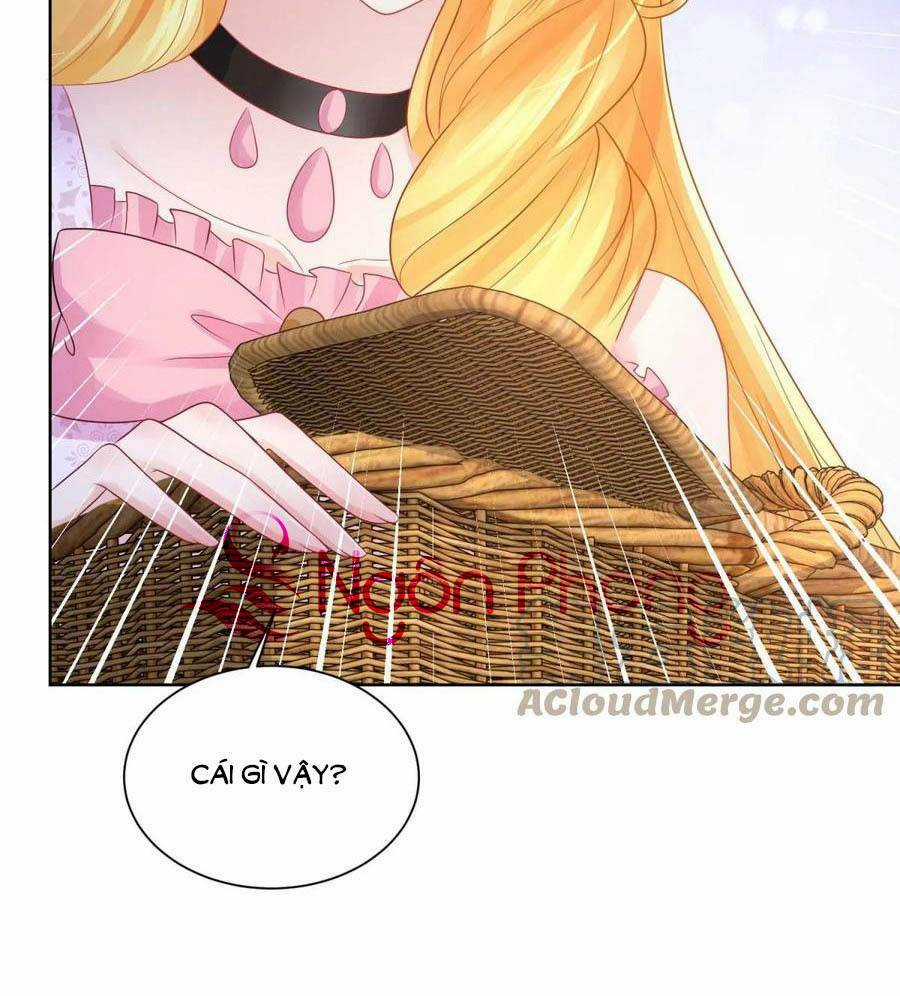 Tôi Muốn Trở Thành Tiểu Thư Công Tước Phế Vật Chapter 158 trang 32