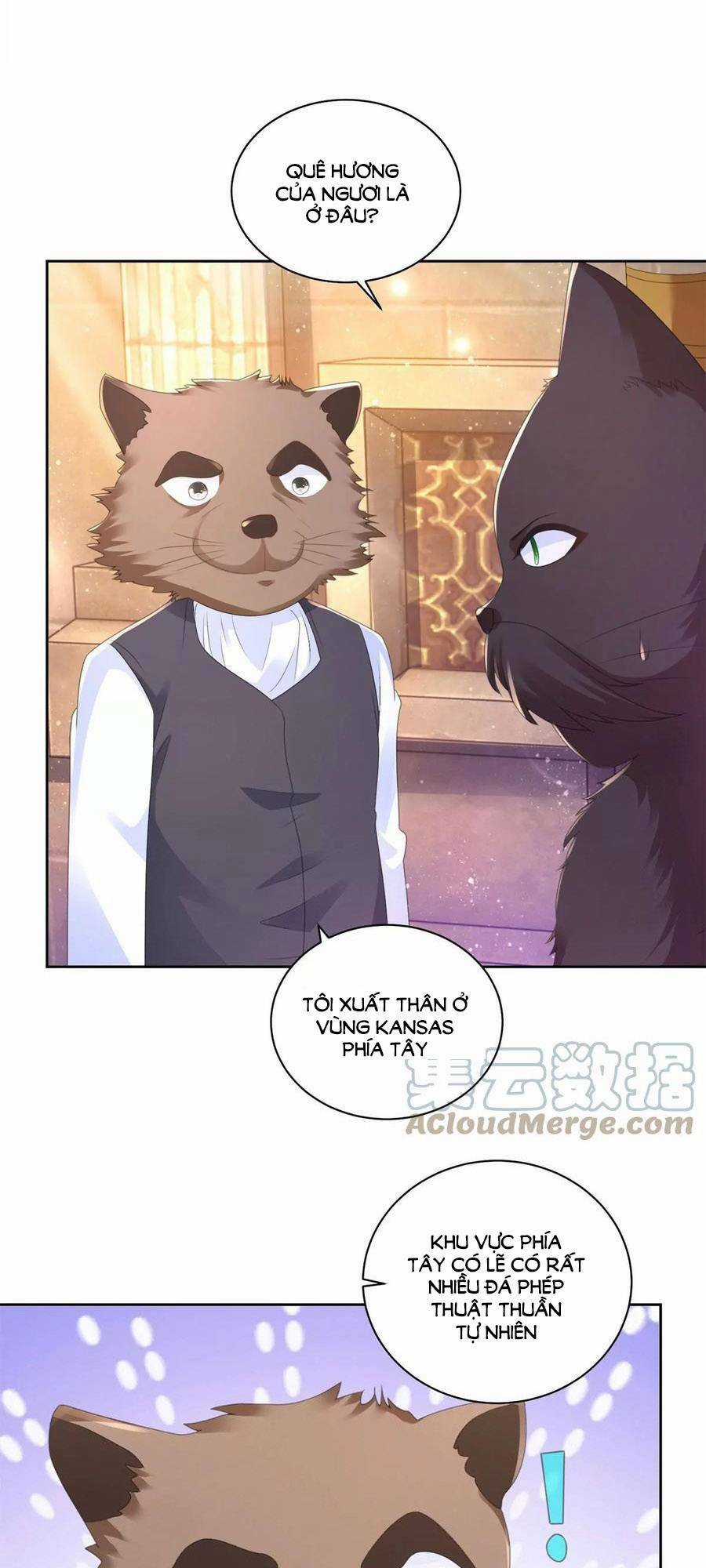 Tôi Muốn Trở Thành Tiểu Thư Công Tước Phế Vật Chapter 178 trang 5