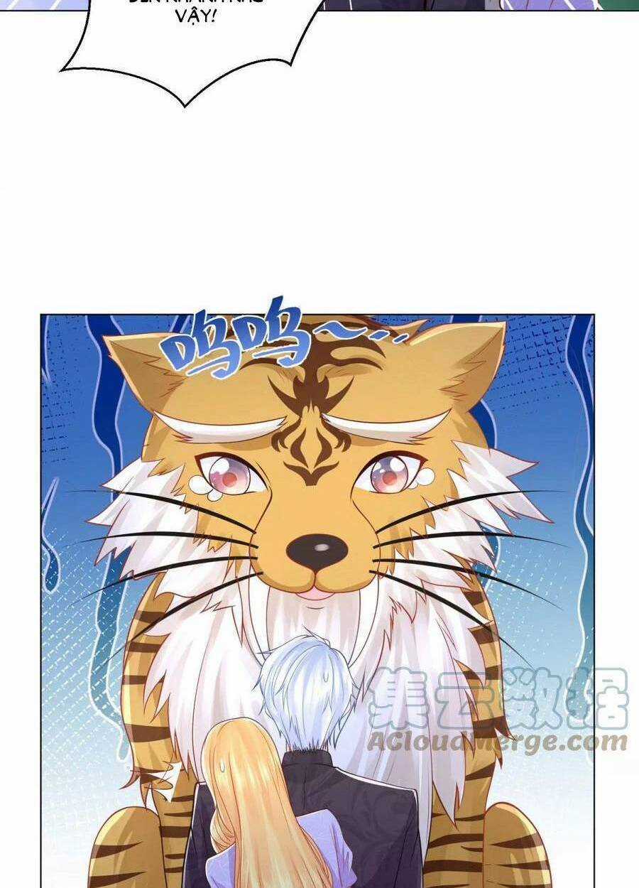 Tôi Muốn Trở Thành Tiểu Thư Công Tước Phế Vật Chapter 183 trang 11