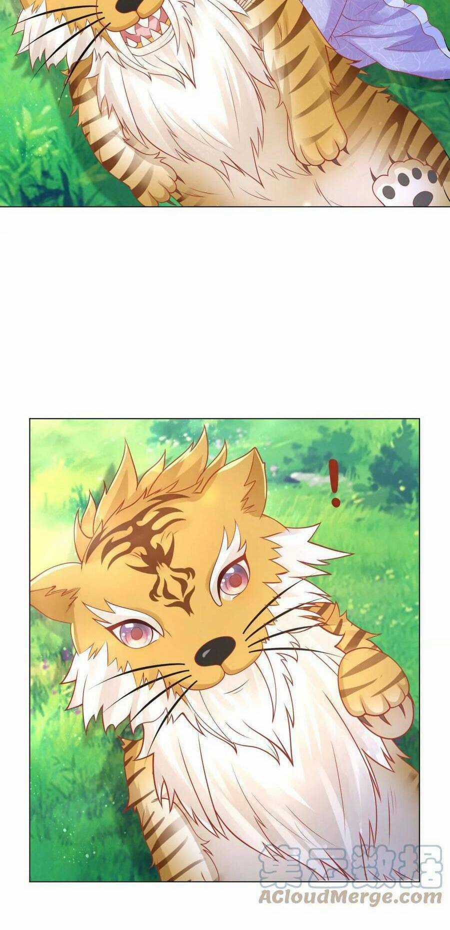 Tôi Muốn Trở Thành Tiểu Thư Công Tước Phế Vật Chapter 183 trang 15