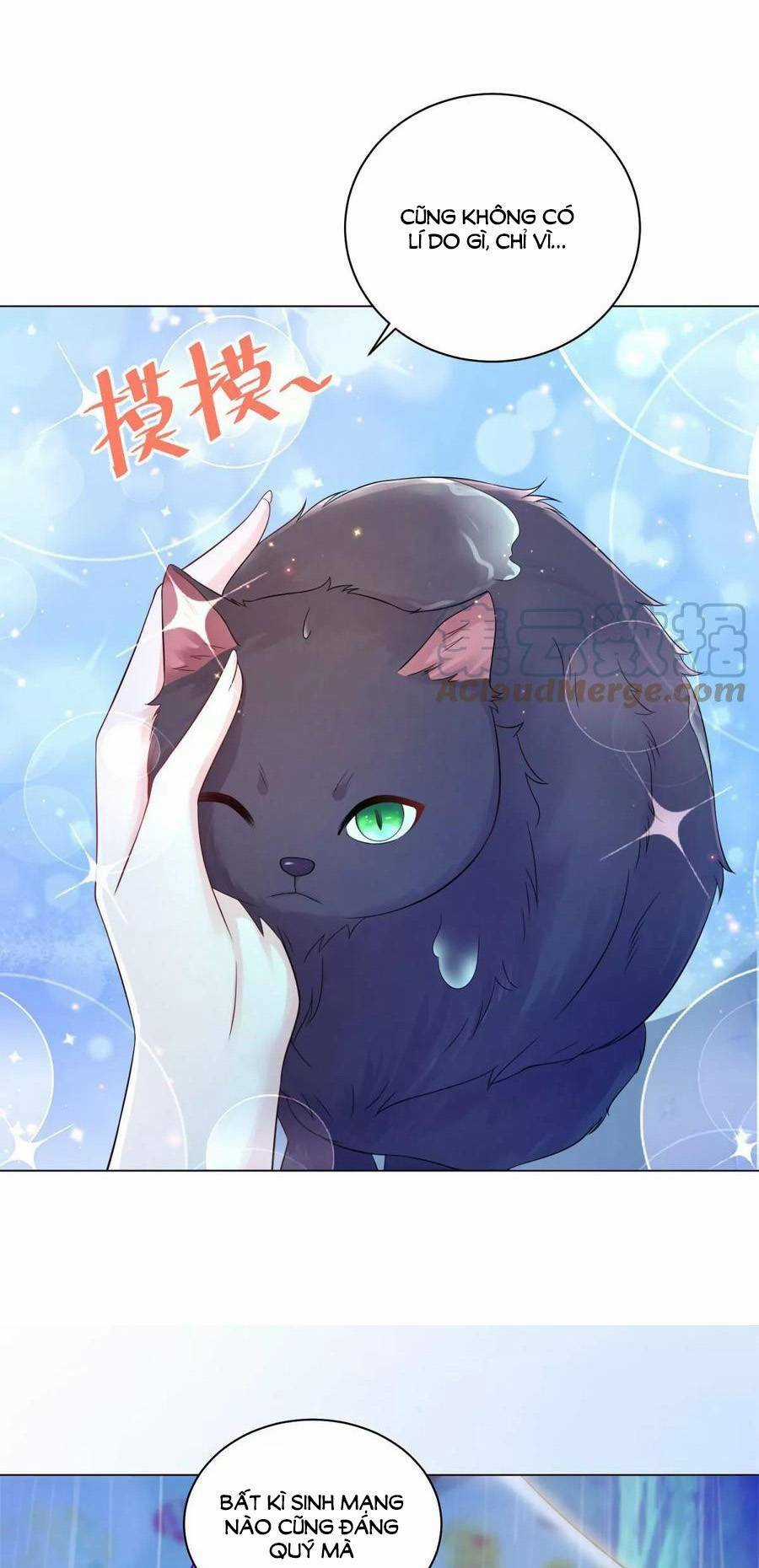 Tôi Muốn Trở Thành Tiểu Thư Công Tước Phế Vật Chapter 184 trang 30