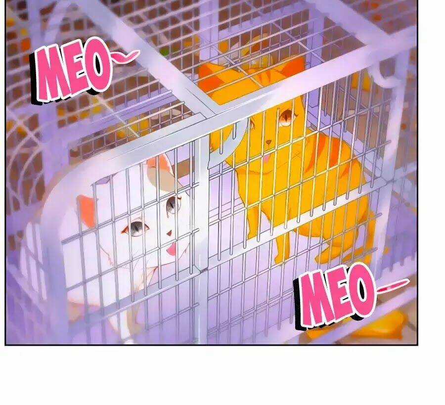 Tôi Muốn Trở Thành Tiểu Thư Công Tước Phế Vật Chapter 3 trang 18