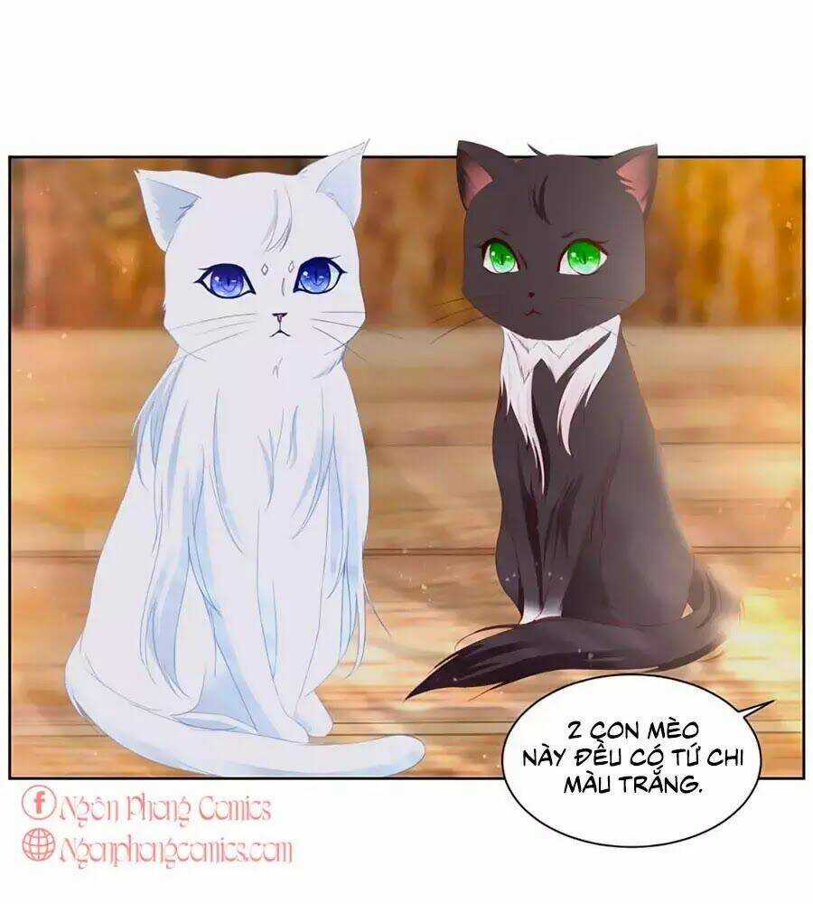 Tôi Muốn Trở Thành Tiểu Thư Công Tước Phế Vật Chapter 3 trang 30