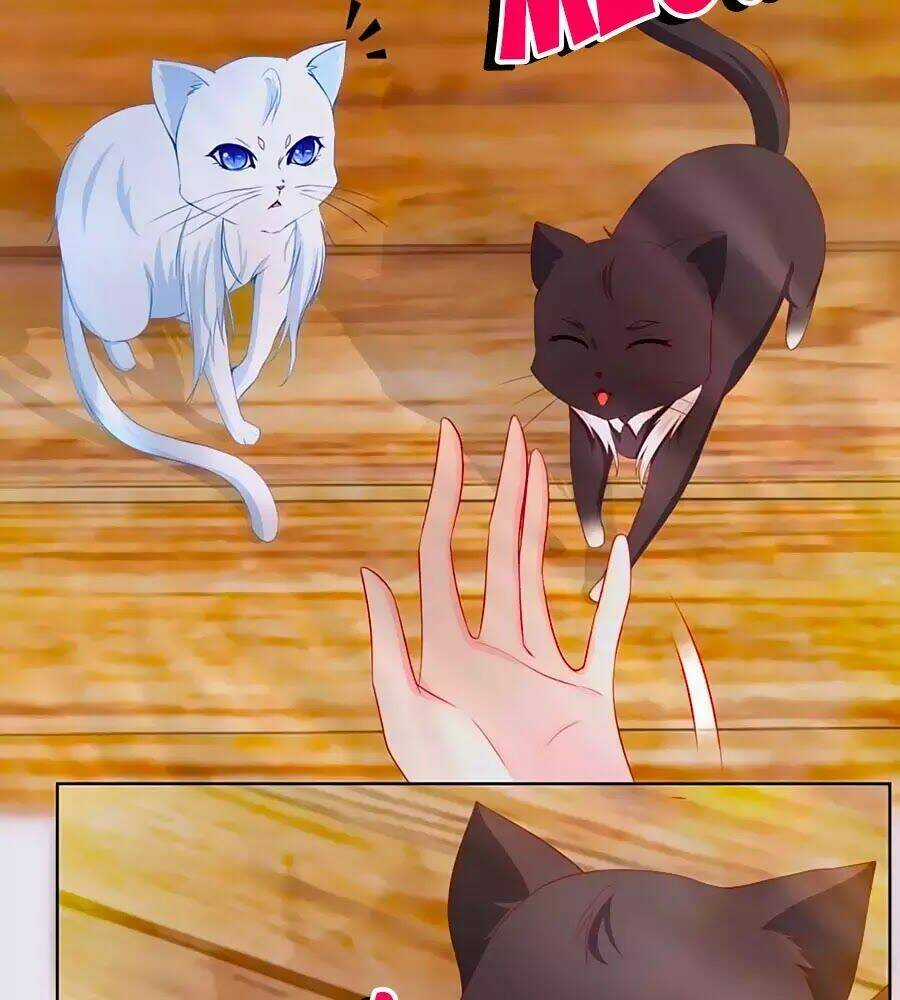 Tôi Muốn Trở Thành Tiểu Thư Công Tước Phế Vật Chapter 3 trang 37