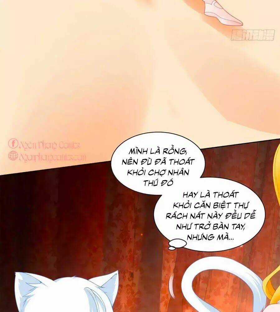 Tôi Muốn Trở Thành Tiểu Thư Công Tước Phế Vật Chapter 6 trang 27