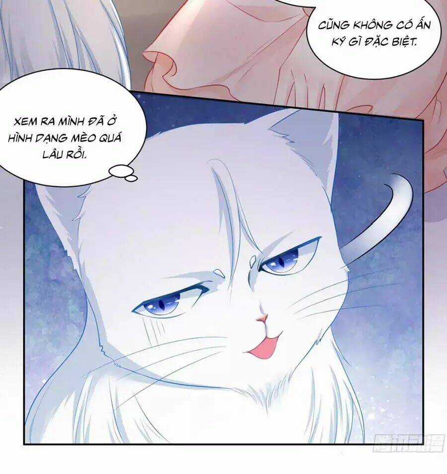 Tôi Muốn Trở Thành Tiểu Thư Công Tước Phế Vật Chapter 7 trang 13