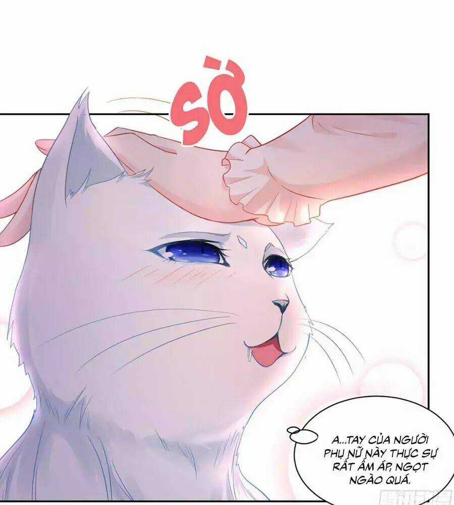 Tôi Muốn Trở Thành Tiểu Thư Công Tước Phế Vật Chapter 7 trang 3