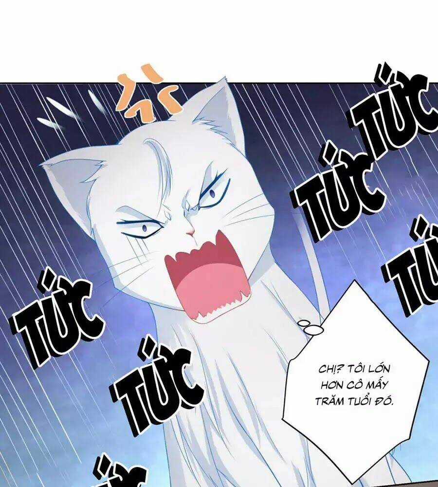 Tôi Muốn Trở Thành Tiểu Thư Công Tước Phế Vật Chapter 7 trang 32