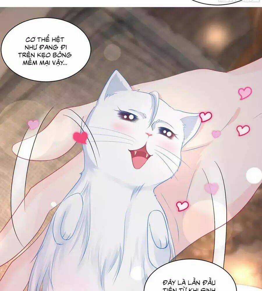 Tôi Muốn Trở Thành Tiểu Thư Công Tước Phế Vật Chapter 7 trang 4