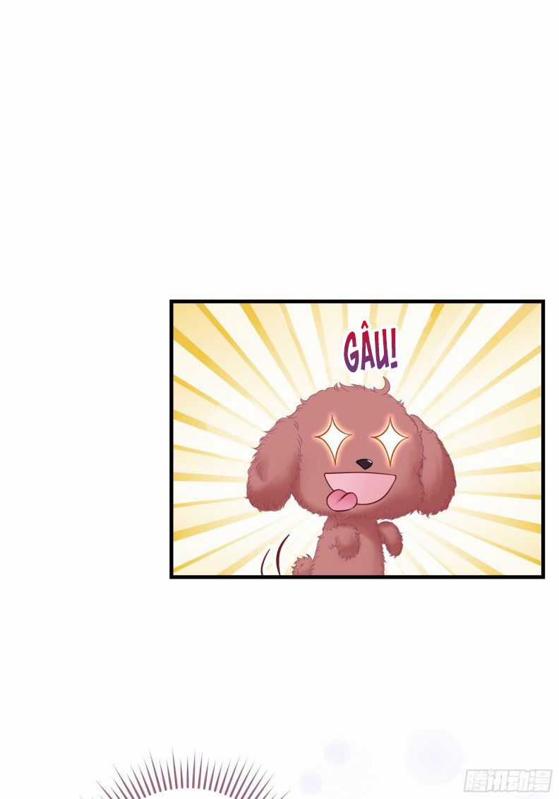 Tôi Nghi Ngờ Hệ Thống Thích Tôi Chapter 19 trang 67