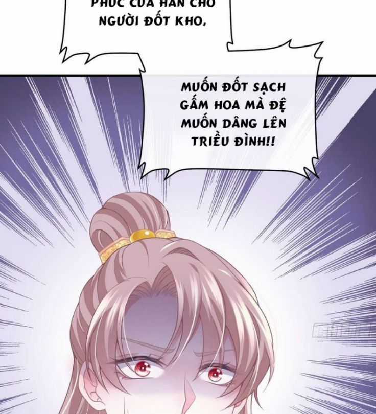 Tôi Nghi Ngờ Hệ Thống Thích Tôi Chapter 27 trang 6