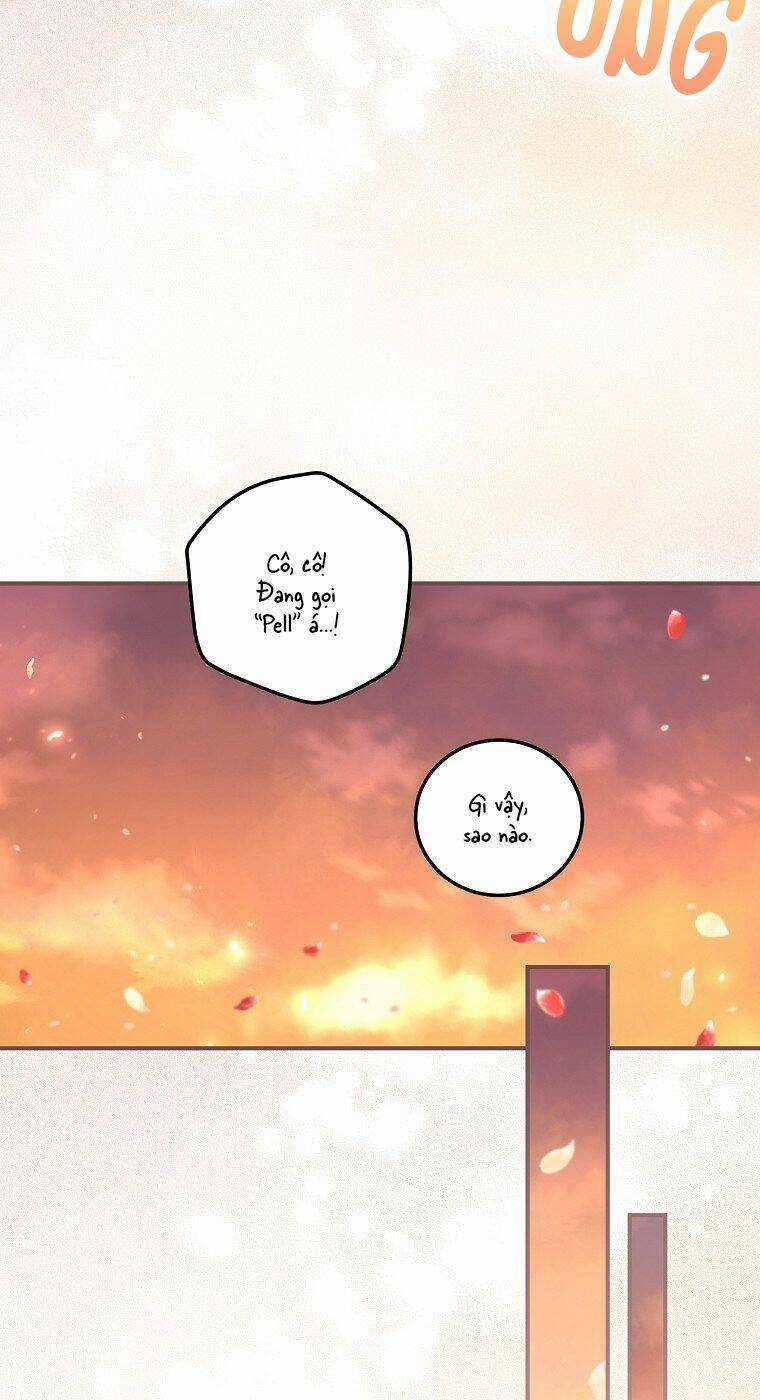 Tôi Nhìn Thấy Cái Chết Của Bạn Chapter 33 trang 33