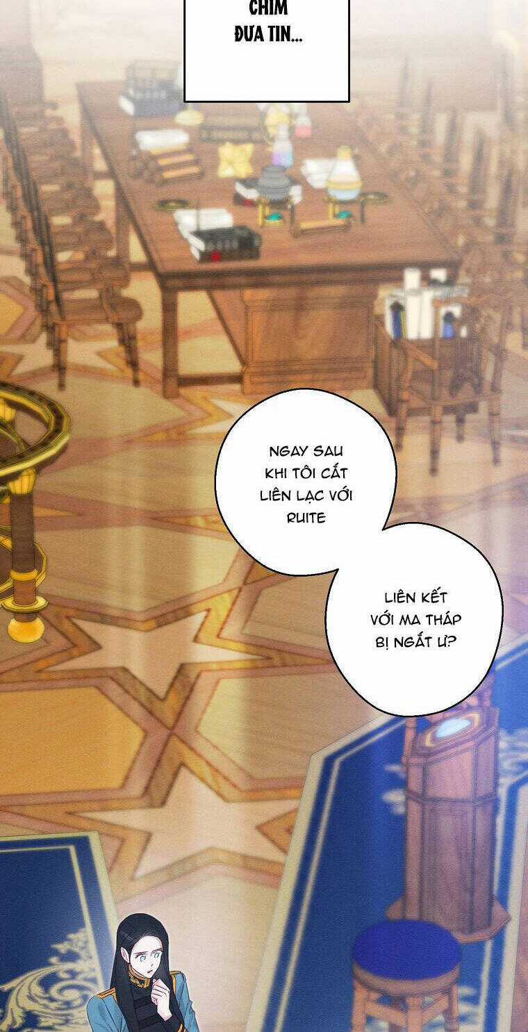 Tôi Phải Giấu Em Trai Trước Đã Chapter 70 trang 43