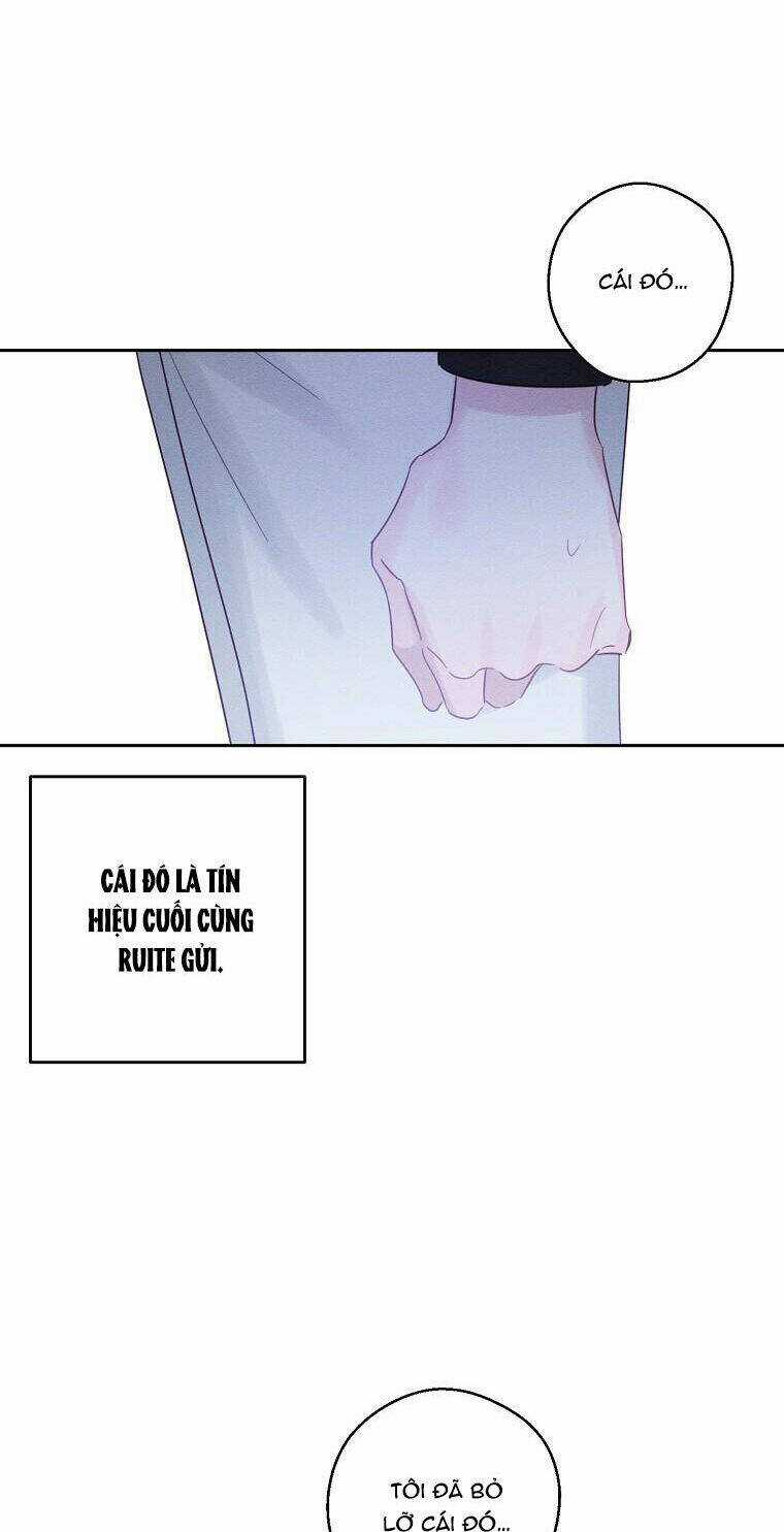 Tôi Phải Giấu Em Trai Trước Đã Chapter 70 trang 46