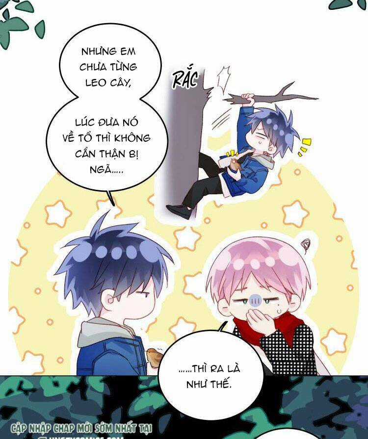 Tôi Phải Làm Một Kẻ Đại Xấu Xa Chapter 43 trang 22