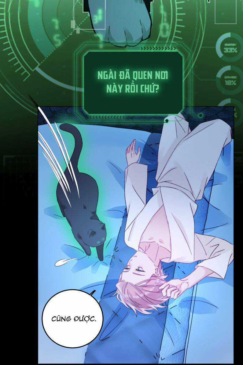 Tôi Phải Làm Một Kẻ Đại Xấu Xa Chapter 47 trang 27